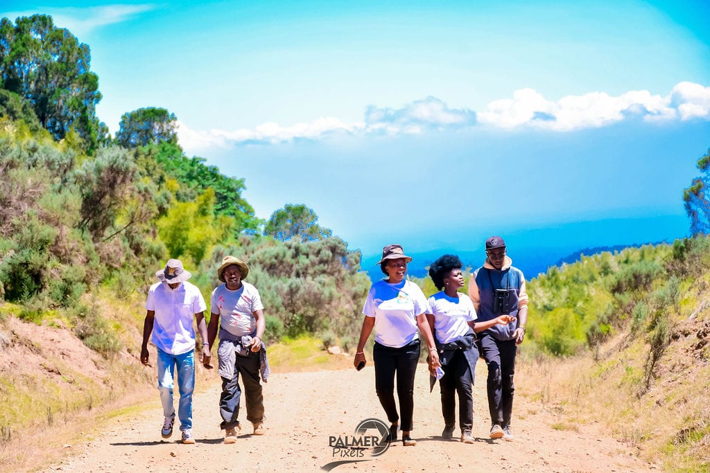 Group of hikers walking along a scenic mountain trail