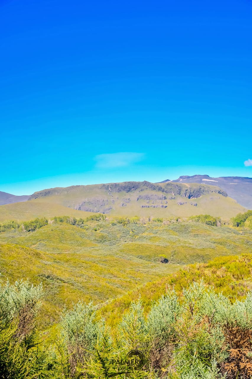 Vast green landscape under a bright blue sky