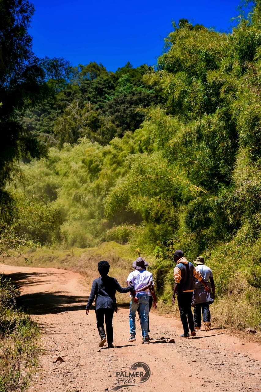 Tourists walk down a dirt road, surrounded by lush green foliage