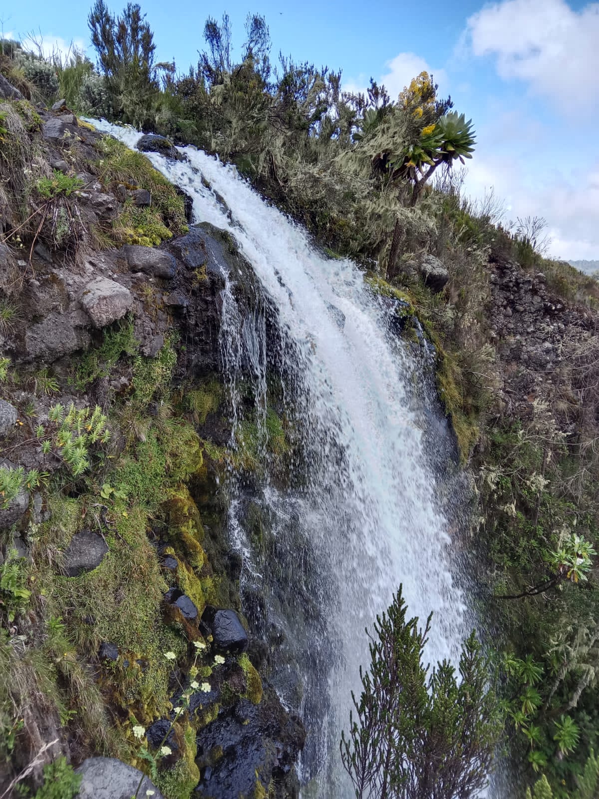 Mountain Expedition in Mt. Kenya