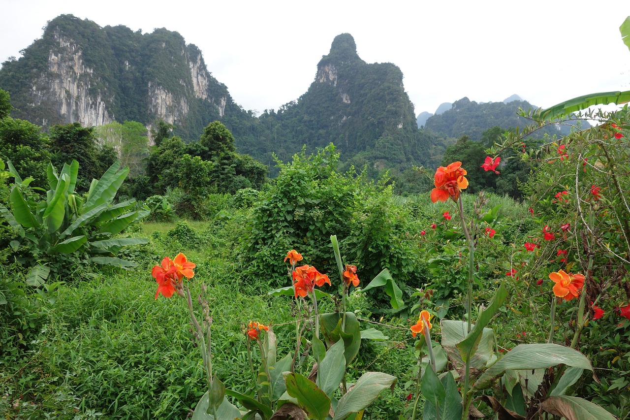 Botany Tour - Rainforest Exploration